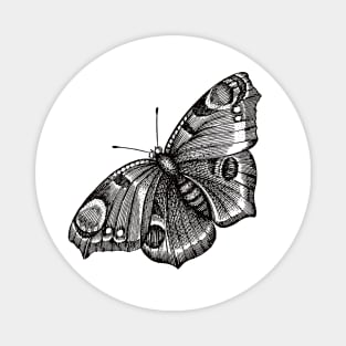 Dramabite Vintage butterfly illustration Magnet